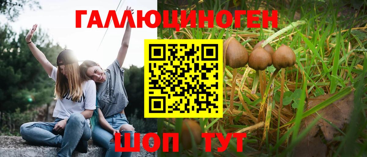 Псилоцибиновые грибы ЛСД  Вход с VPN  Галлюциногенные грибы GOLDEN TEACHER  Миллерово 