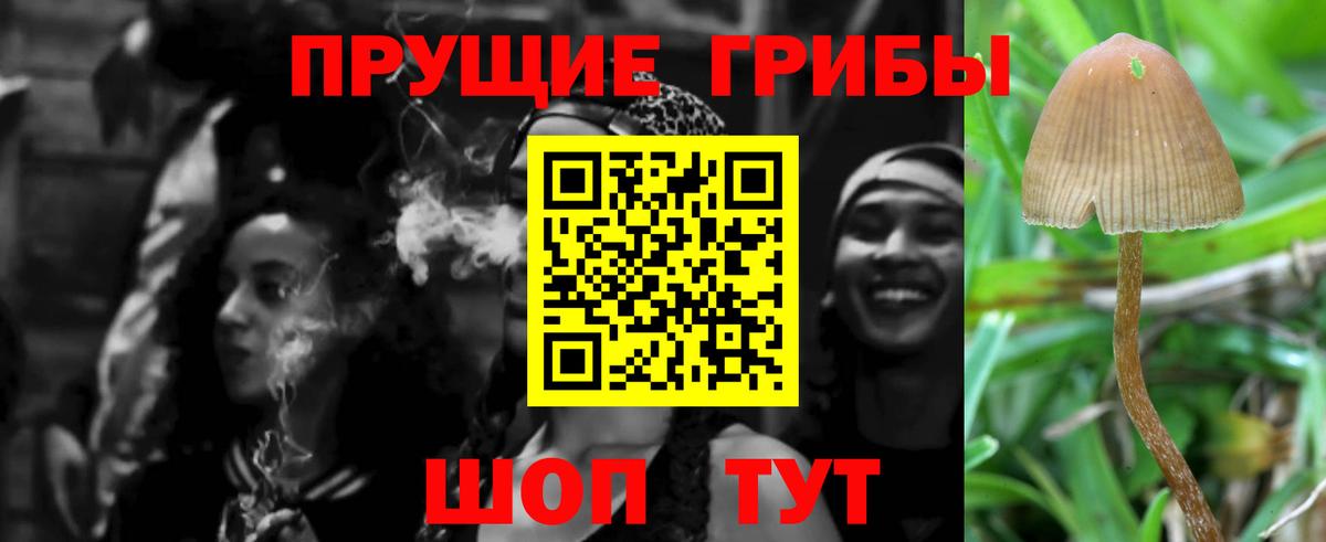 Псилоцибиновые грибы ЛСД Миллерово